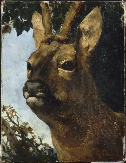Head of a Roe Deer - Gustave Courbet