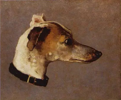 Greyhound Head - Claude Monet