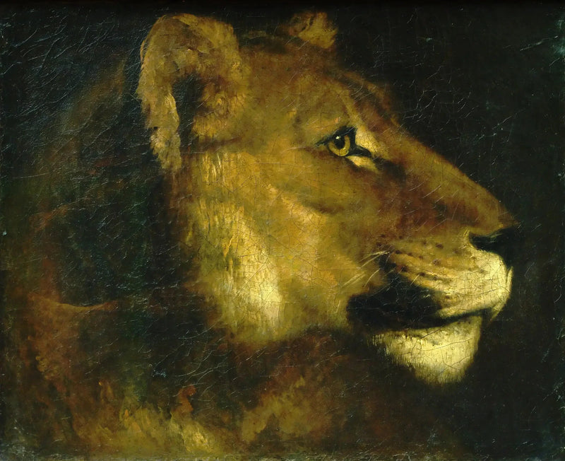 Lioness Head - Théodore Géricault