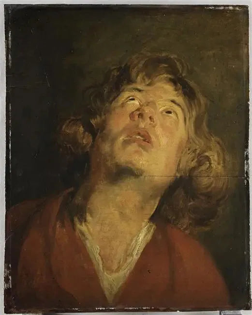 Head of Saint George - Antoine van Dyck