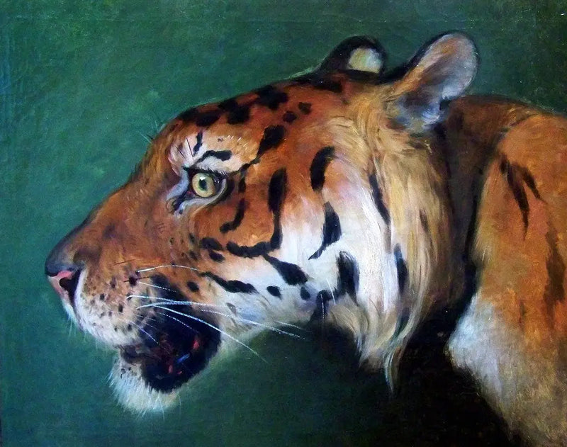 Head of Tiger - Eugène Delacroix
