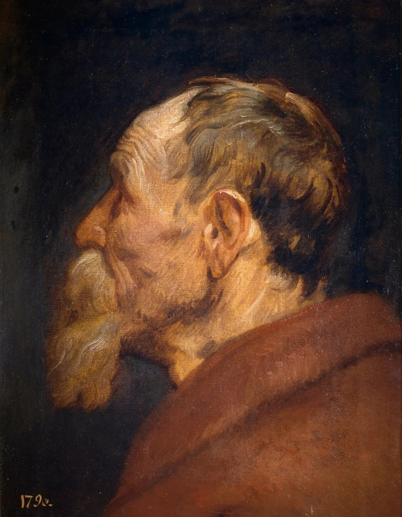 Head of an Old Man - Antoine van Dyck