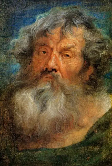 Head of an Old Man - Antoine van Dyck