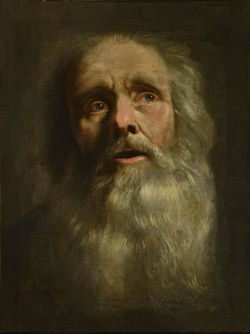 Head of an Old Man - Philippe de Champaigne