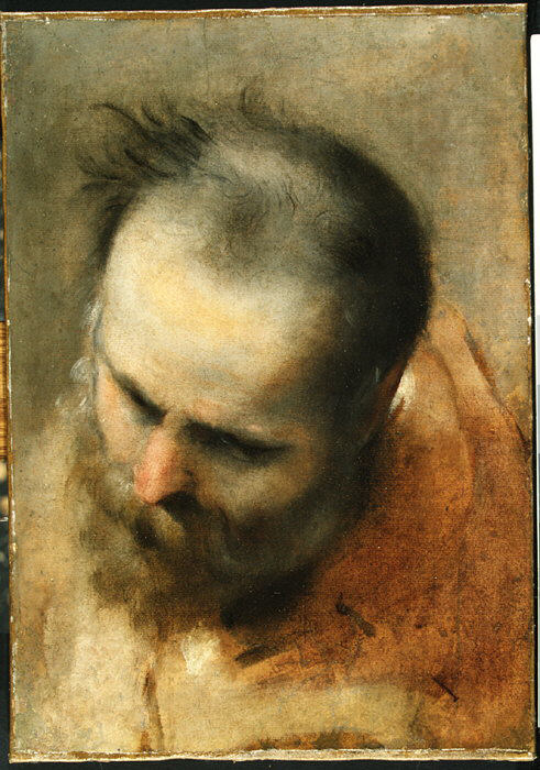 Head of a bearded man looking down to the left (Nicodemus) - Federico Barroci