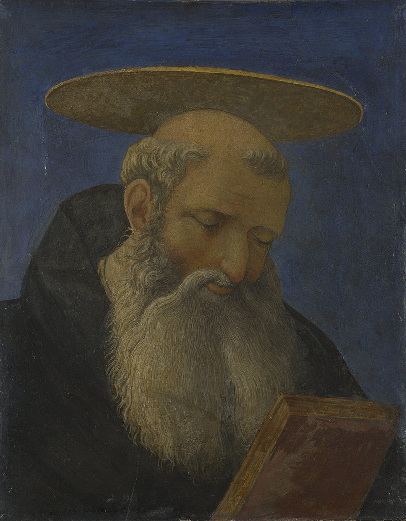 Head of a tonsured and bearded saint - Domenico Veneziano