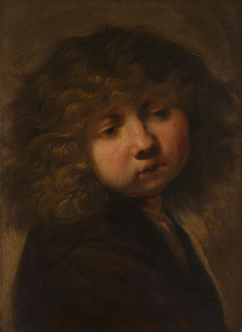 Head of a Boy - Rembrandt