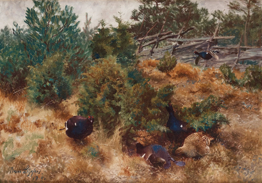 Black grouse in an autumn landscape - Bruno Liljefors