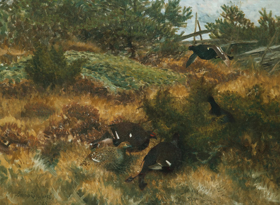 Black grouse in an autumn landscape - Bruno Liljefors