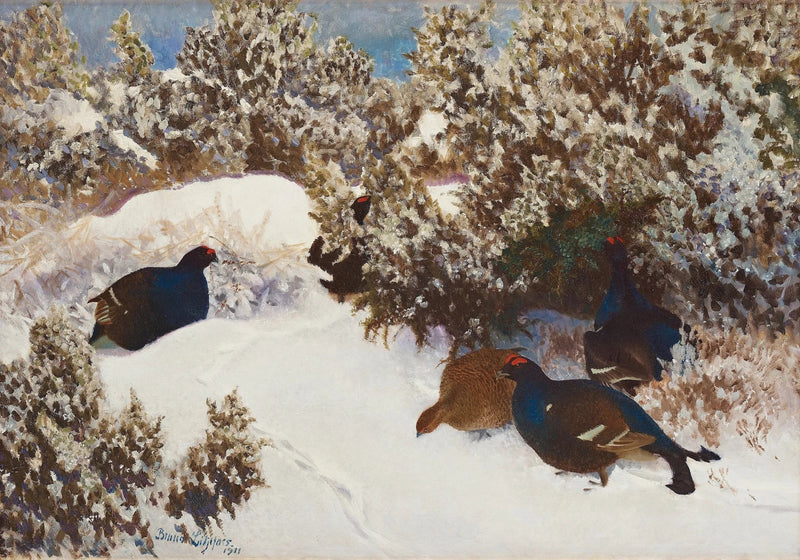 Black grouse in a winter landscape - Bruno Liljefors