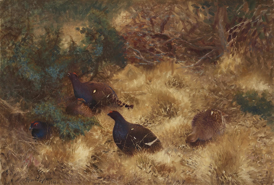 Black grouse in autumn - Bruno Liljefors