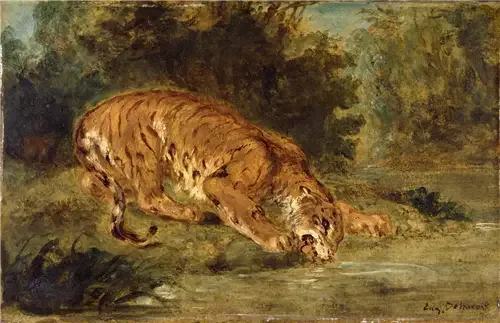 Tiger Drinking - Eugène Delacroix