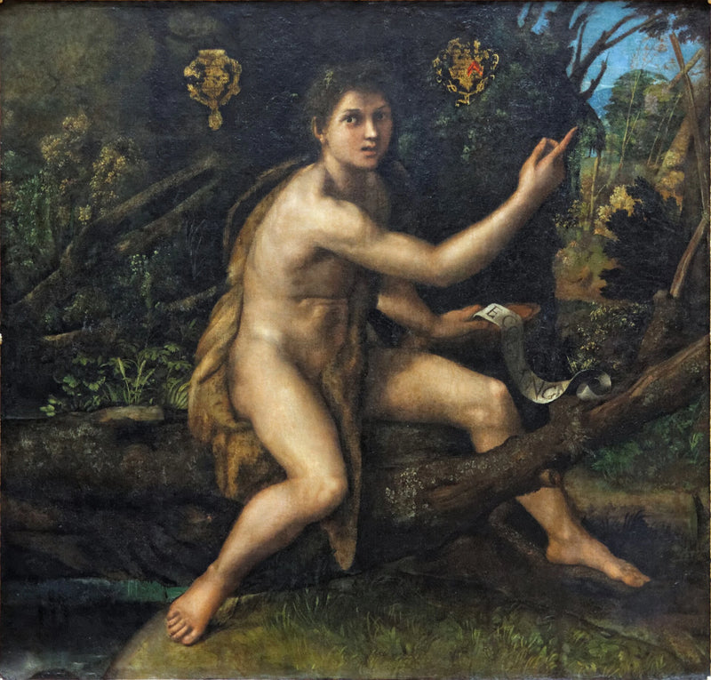 Saint John the Baptist in the Desert - Raphael Sanzio