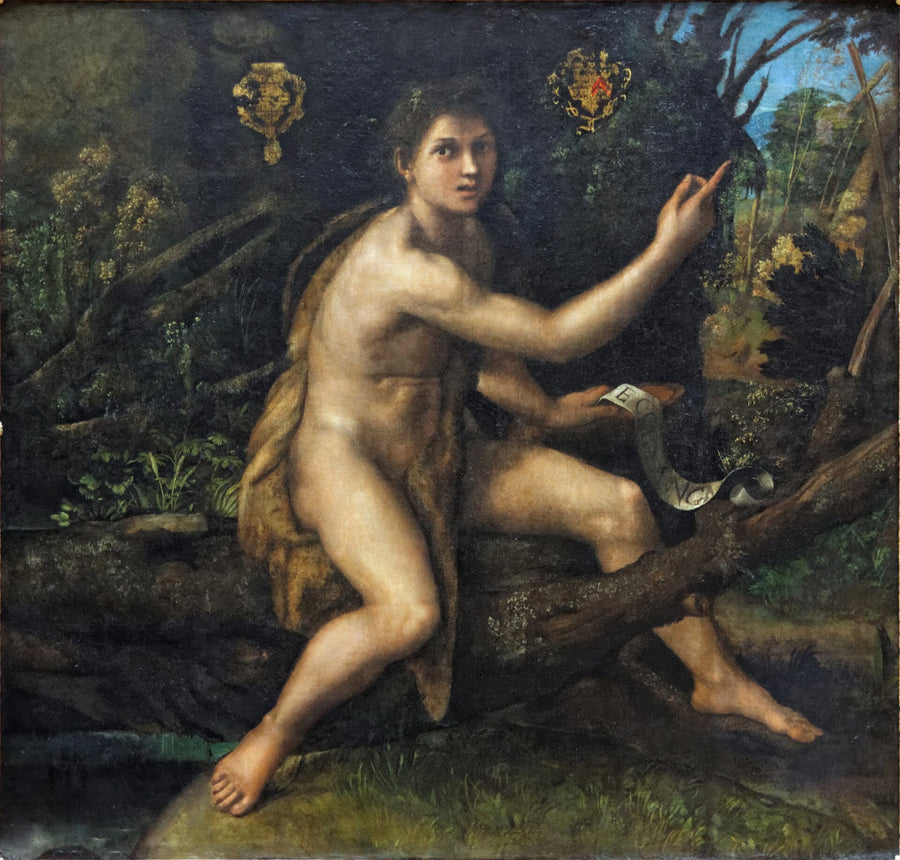 Saint John the Baptist in the Desert - Raphael Sanzio