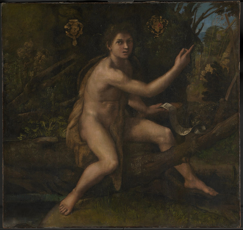 Saint John the Baptist in the Desert Pointing to the Cross of the Passion - Raphael Sanzio