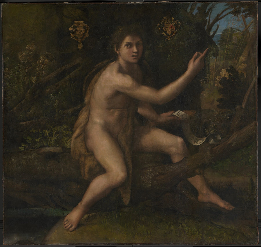 Saint John the Baptist in the Desert Pointing to the Cross of the Passion - Raphael Sanzio