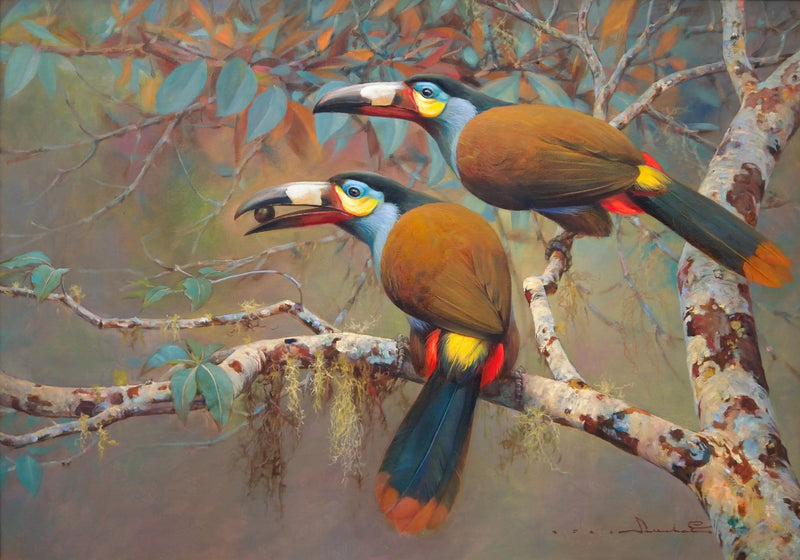 Mountain Toucan | 60 x 90 cm