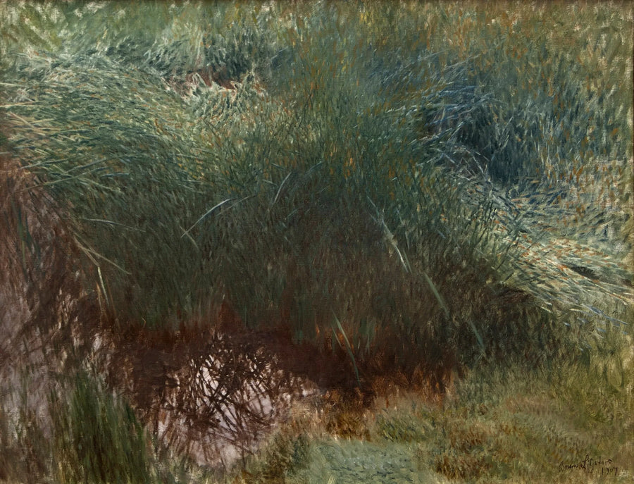 Clump of reeds - Bruno Liljefors