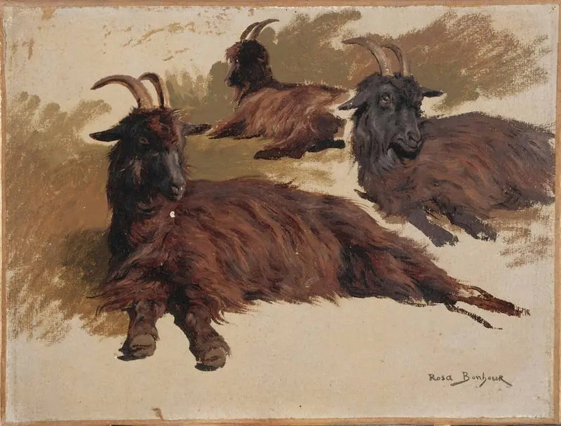 Three Goats Resting - Rosa Bonheur