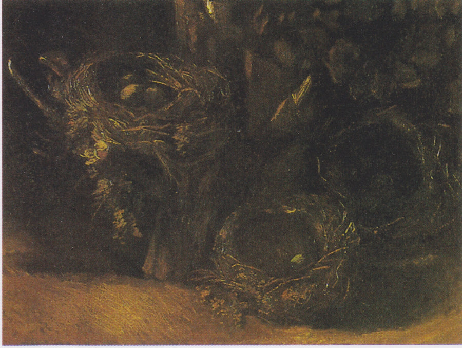 Still Life with Three Bird's Nests - Vincent van Gogh