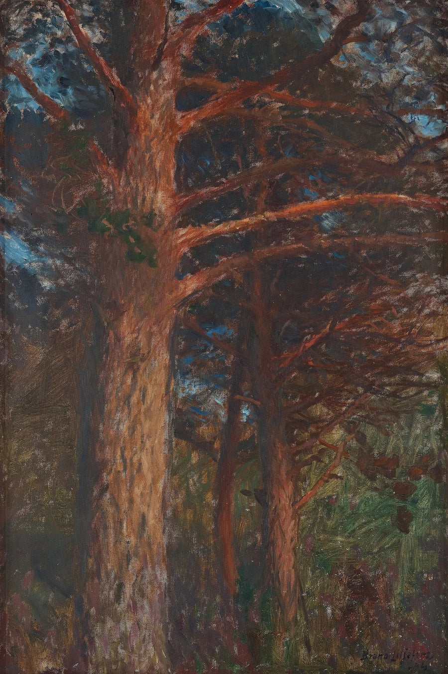 Pine trunks after sunset - Bruno Liljefors