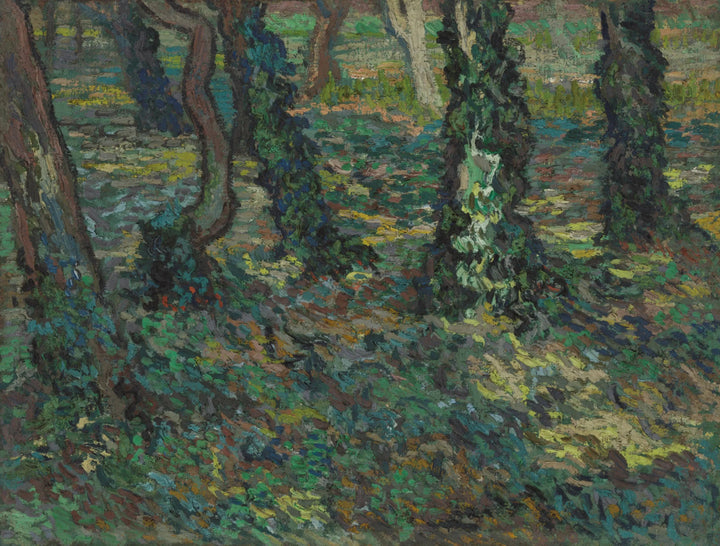 Tree trunks with ivy, F747 - Van Gogh