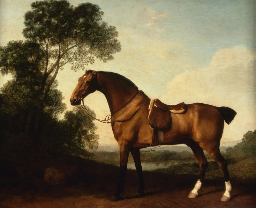 A bay hunter - George Stubbs