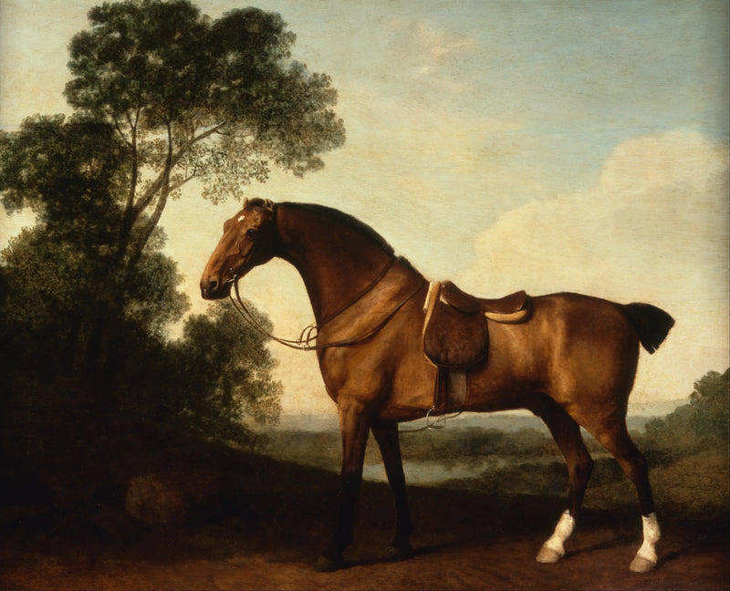 A bay hunter - George Stubbs