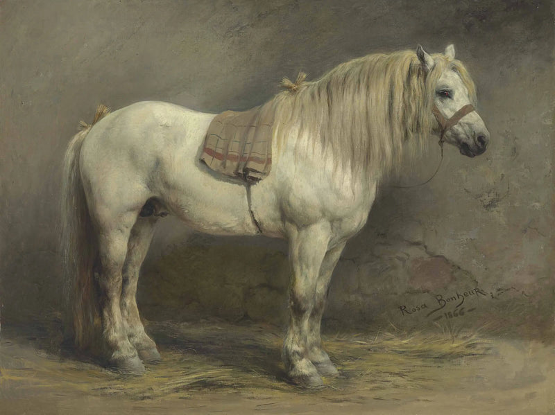 A White Horse - Rosa Bonheur