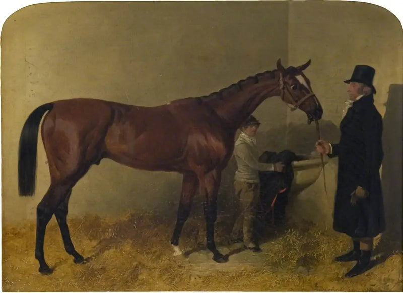 A bay racehorse in a stable - John Frederick Herring, Sr.