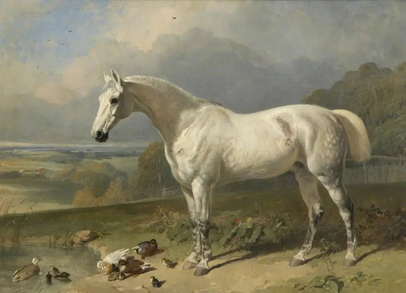 A gray horse and ducks in a landscape - John Frederick Herring, Sr.