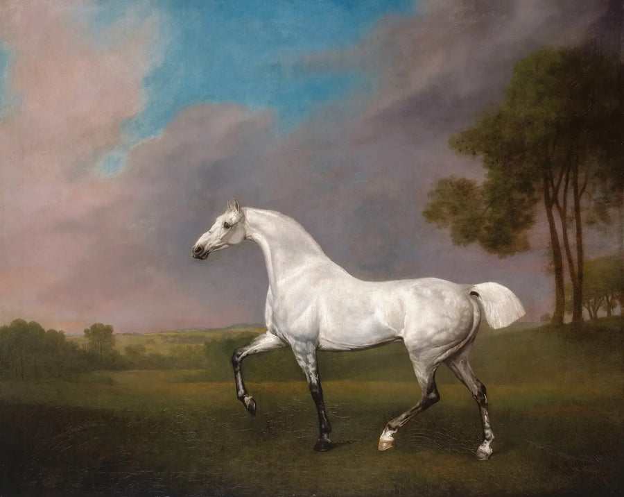 A Gray Horse - George Stubbs