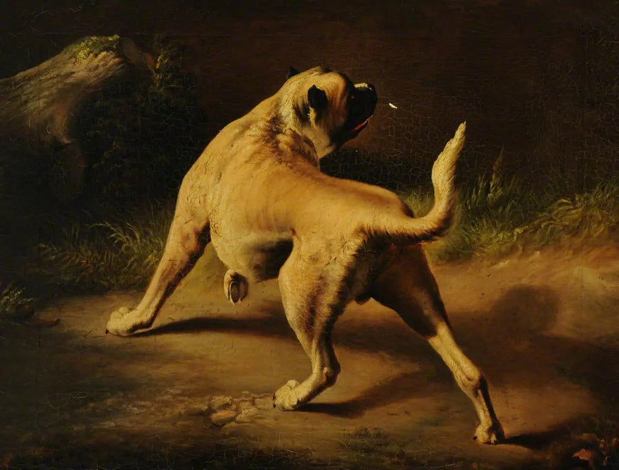 A dog on alert - Edwin Henry Landseer