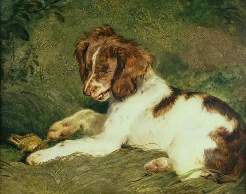 A puppy teases a frog - Edwin Henry Landseer