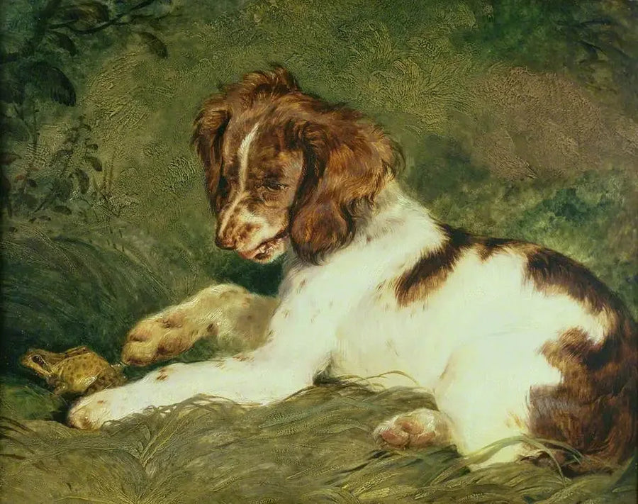 A puppy teases a frog - Edwin Henry Landseer