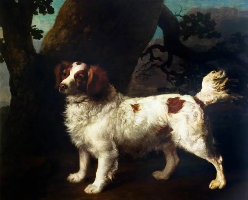 A Clumber Spaniel - George Stubbs