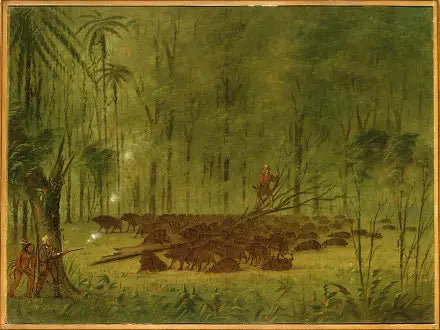 A Fight with Peccaries - Caribbean - George Catlin