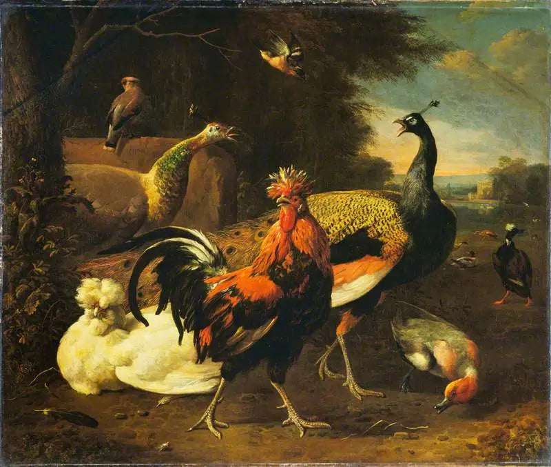 A rooster with other birds - Melchior de Hondecoeter