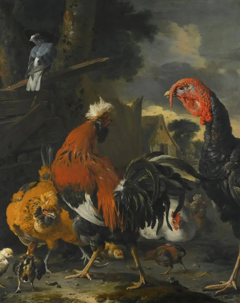 A rooster, a turkey, hens and chicks in a farmyard - Melchior de Hondecoeter