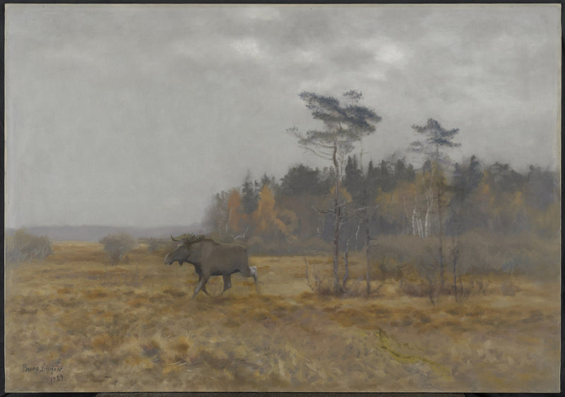 A moose crossing a swamp in Sweden - Bruno Liljefors