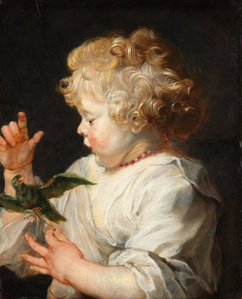 A Child with a Bird - Peter Paul Rubens