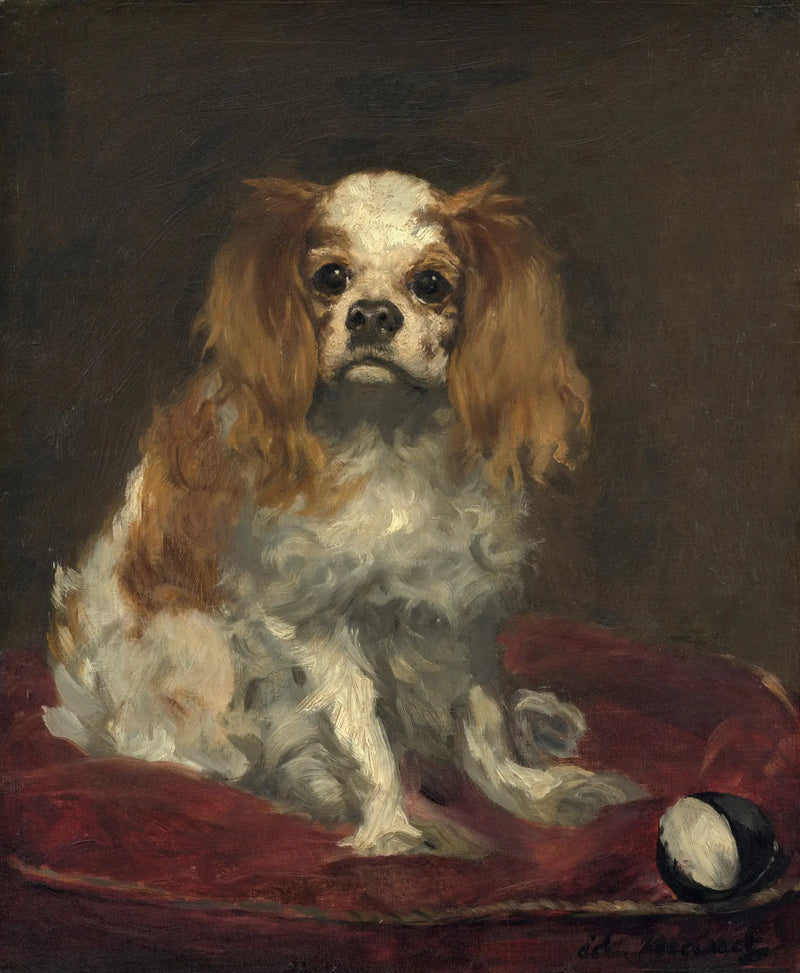 A King Charles Spaniel - Édouard Manet