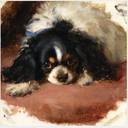 A King Charles Spaniel - Edwin Henry Landseer