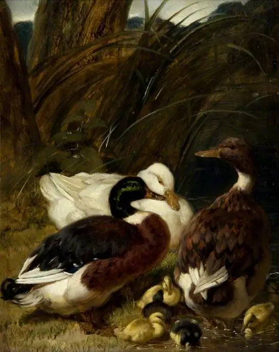 A group of ducks - John Frederick Herring, Sr.