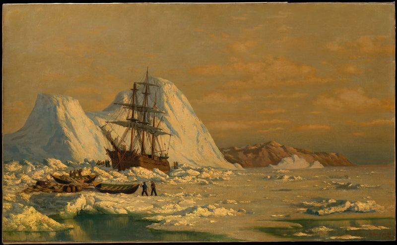 A whale hunting incident - William Bradford