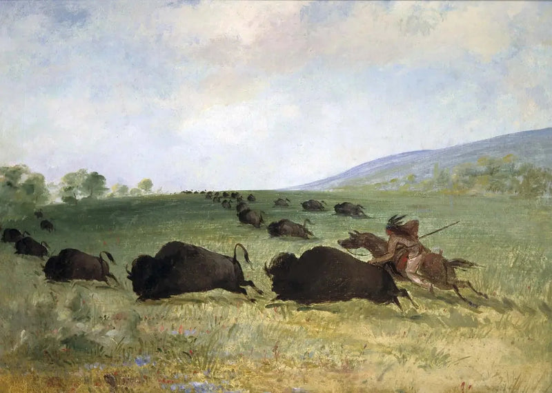 An Osage Indian throws a buffalo - George Catlin