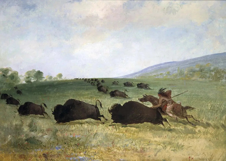 An Osage Indian throws a buffalo - George Catlin