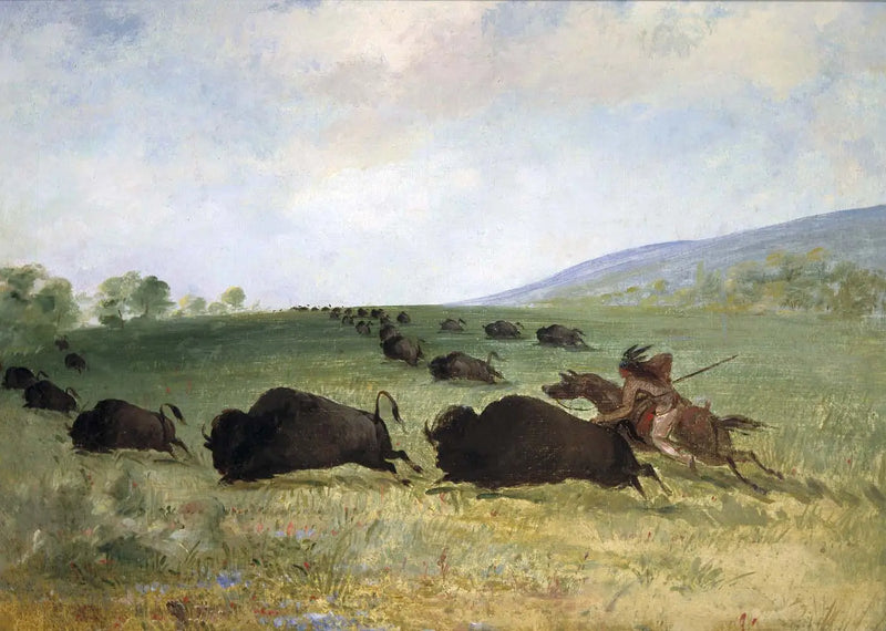 An Osage Indian throws a buffalo - George Catlin