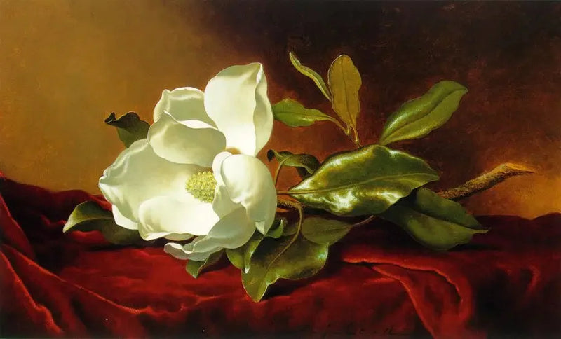 A magnolia on red velvet - Martin Johnson Heade
