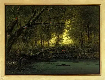 An Alligator's Nest - George Catlin
